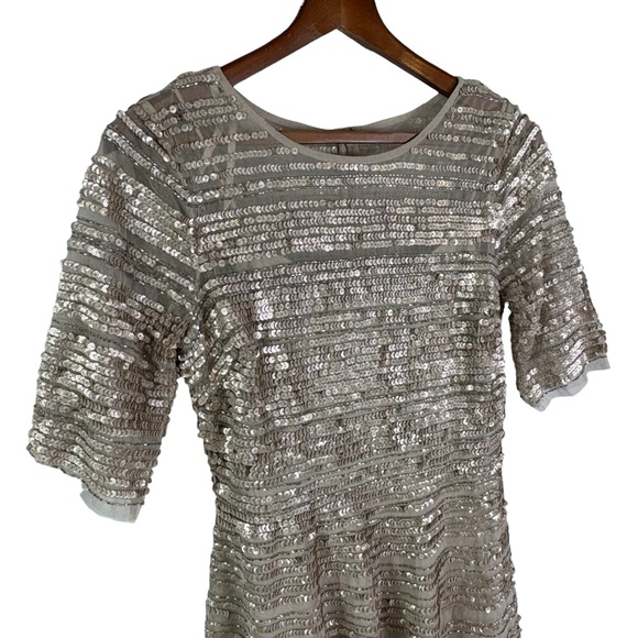 NWT Johnny Was Champagne Beaded Mesh Dress Size 4 Cocktail Party Evening Event - Picture 5 of 14